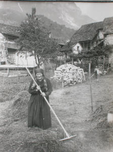 Donna con rastrello alla raccolta del fieno
